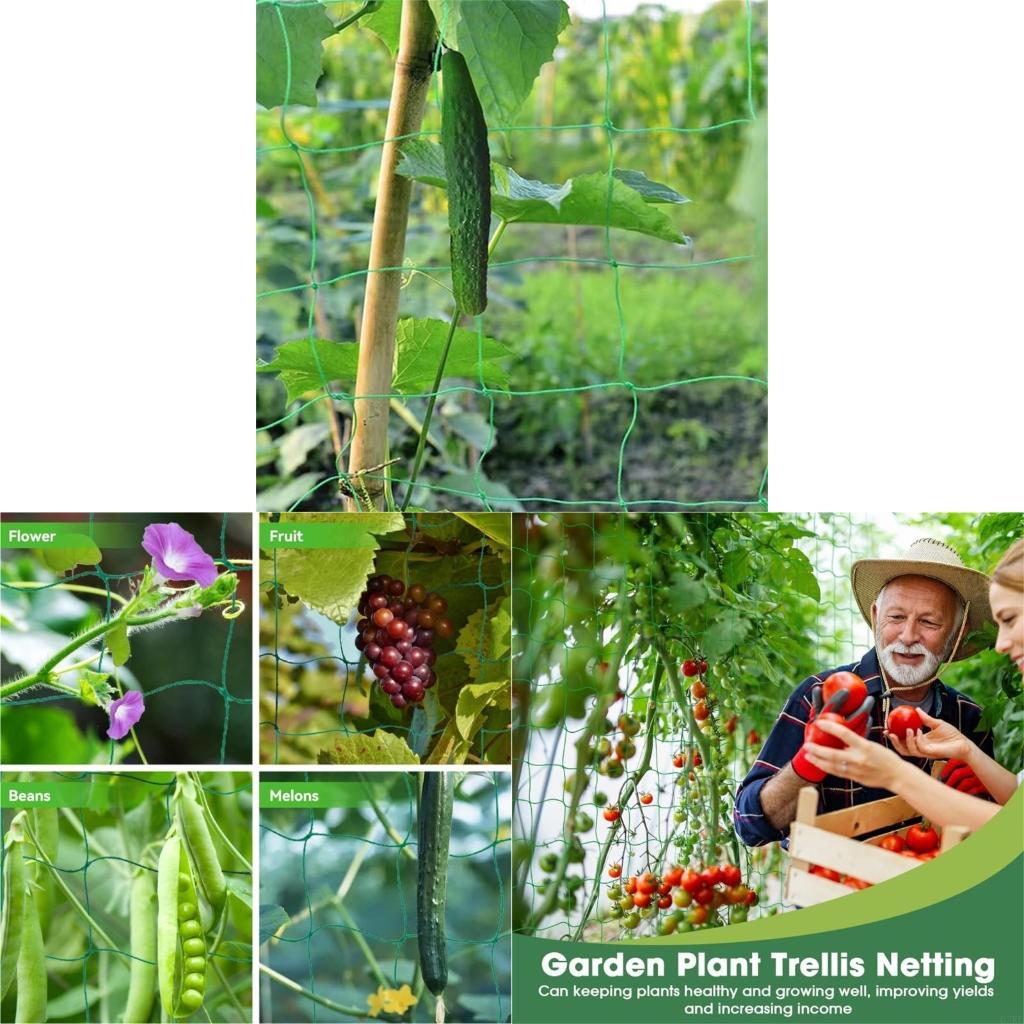 Agriculture Farming Net - Tırmanma Tesisi için 62KD Bitki Kafes