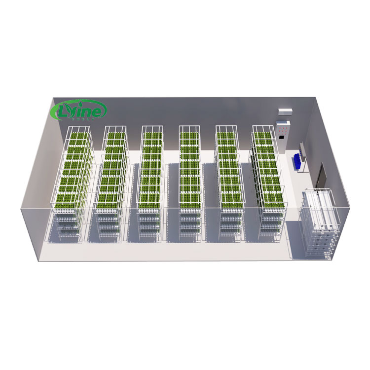 Agriculture Vertical Farming - Tarımsal Seralar Marul NFT Hidroponik Sistem