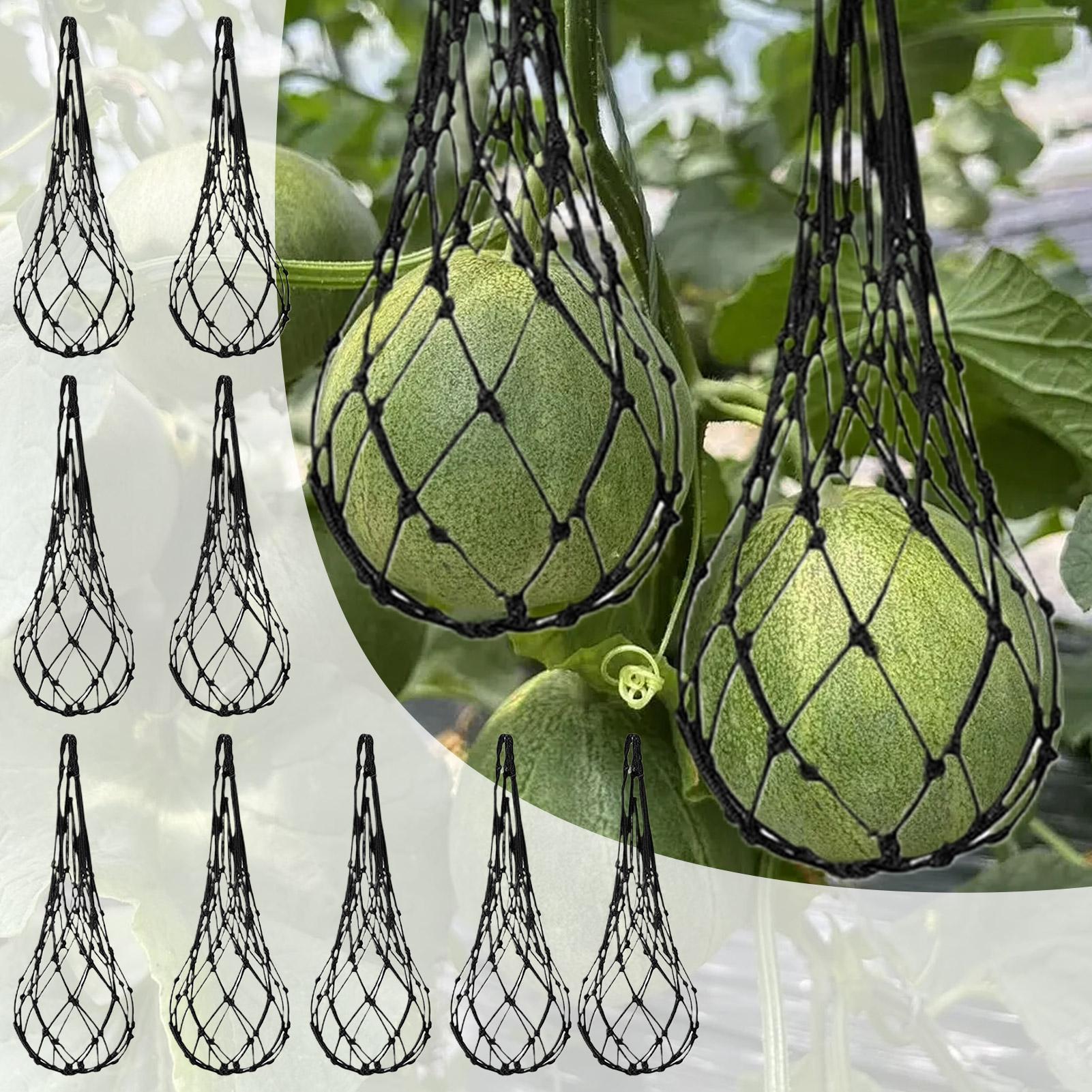 10 adet Karpuz Filesi Bahçe Di - Agriculture Vertical Farming incelemesi ve fiyatı