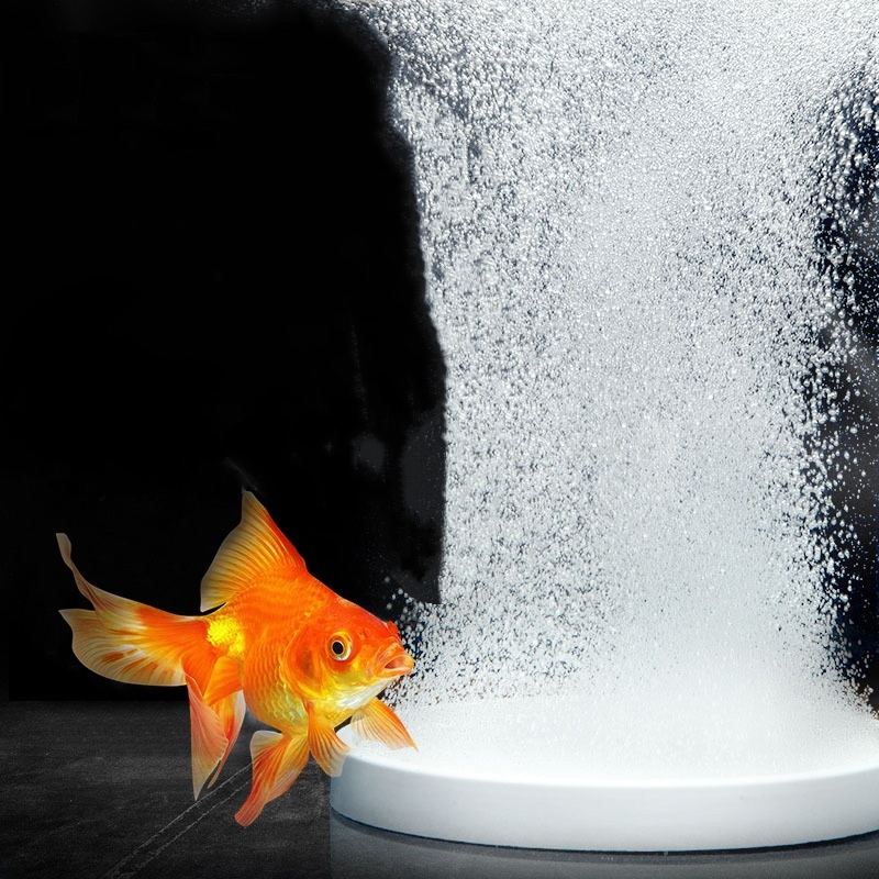 Nano Disk Hava Taşı Oksijen Ha - Aquaculture Aerator Pump incelemesi ve fiyatı